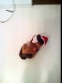 Creepy toy laughing and rolling on the floor