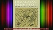 Read  Himalayan Hermitess The Life of a Tibetan Buddhist Nun  Full EBook