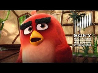 The Angry Birds Movie - Nice Chatting With You Clip - Incoming May 13