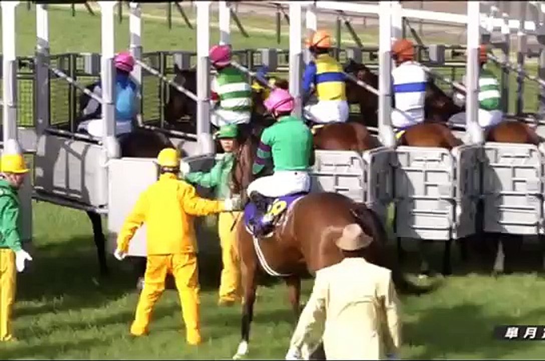 皐月賞　2016　ディーマジェスティ