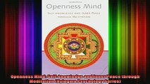 Read  Openness Mind Selfknowledge and Inner Peace through Meditation Nyingma Psychology  Full EBook