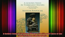 Read  A Golden Swan in Turbulent Waters The Life and Times of the Tenth Karmapa Choying Dorje  Full EBook