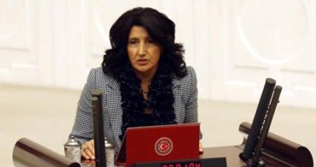 HDP'li Vekil Öldürülen PKK'lıların Bilgisini İstedi