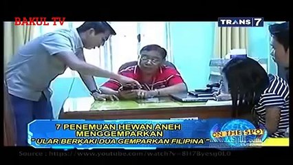 On The Spot 7 Penemuan Hewan Aneh Menggemparkan Dunia