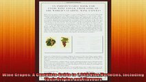 READ book  Wine Grapes A Complete Guide to 1368 Vine Varieties Including Their Origins and Flavours  FREE BOOOK ONLINE