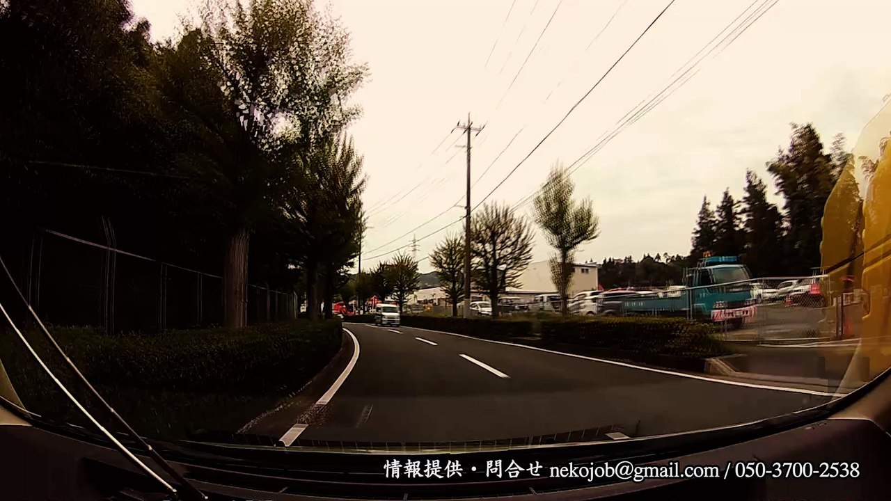 危ないオジサンそれとも当たり屋？