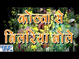 कोठरिया से बिलरिया बोले - Kothawa Se Bilariya Bole - Casting - Bhojpuri Hot Songs 2015 new