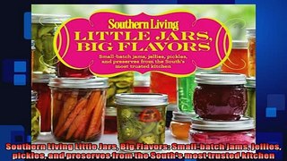 EBOOK ONLINE  Southern Living Little Jars Big Flavors Smallbatch jams jellies pickles and preserves  FREE BOOOK ONLINE