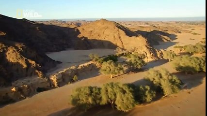 [National Geographic] Wild Namibia  Africa's Dry Savannah (Wildlife Documentary)