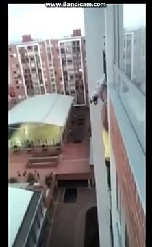 Un homme sauve un chien suspendu à un balcon en Colombie