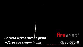 fireevent KB 150 Corolla w/red strobe pistil w/brocade crown trunk_Art.Nr. KB20-070-6