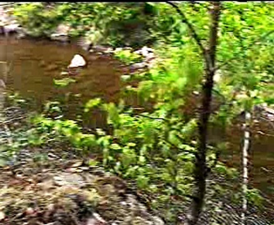 Boundary Waters 1992