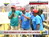 Chavistas Siembran en Caracas