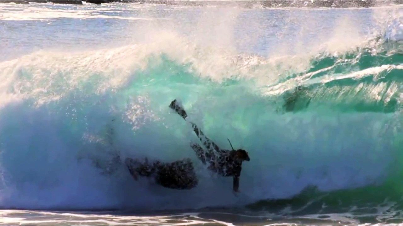 The Wedge | Wipeout / Fail Compilation 2015