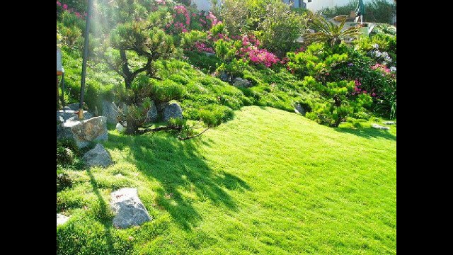 Как укладывать рулонный газон: 44 идеи