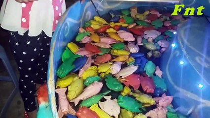 Toys Fish In piece of music without many goldfish Swimming New Fishing game set of KidMusic88