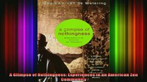 Read  A Glimpse of Nothingness Experiences in an American Zen Community  Full EBook