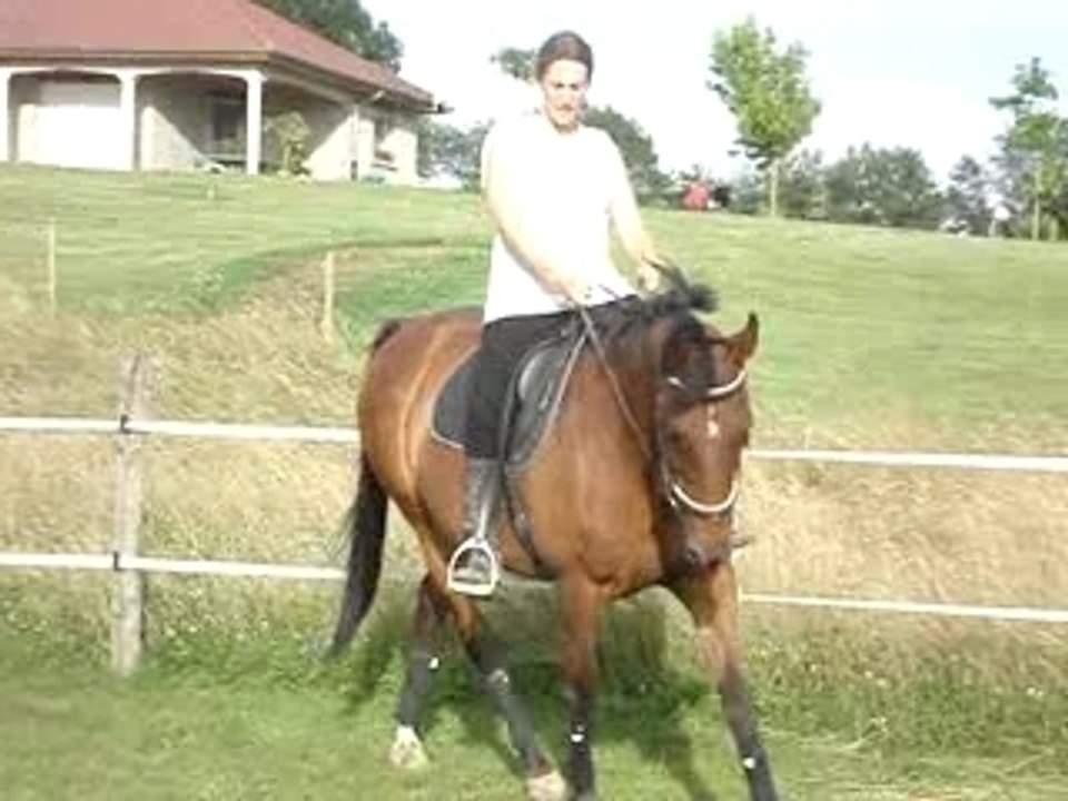 Cession au trot irrégulière