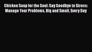 Read Chicken Soup for the Soul: Say Goodbye to Stress: Manage Your Problems Big and Small Every
