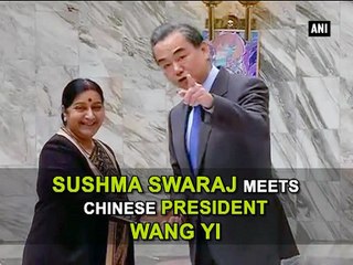 Sushma Swaraj meets Chinese President Wang Yi
