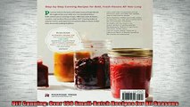 Free PDF Downlaod  DIY Canning Over 100 SmallBatch Recipes for All Seasons  DOWNLOAD ONLINE