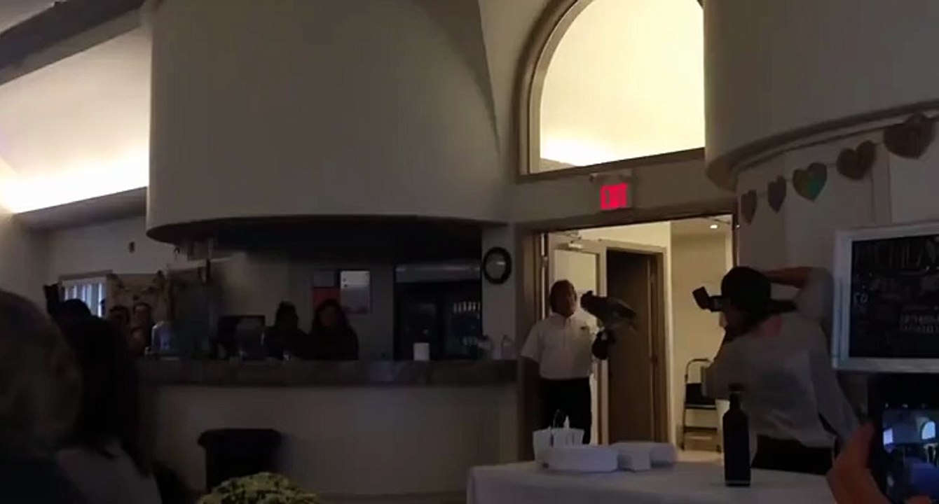 Funny Clips Videos-Watch Online-Best Clips –by Funny & entertainment Videos…Follow Us !!!!!