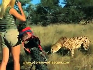 Girl was attacked by cheetahs