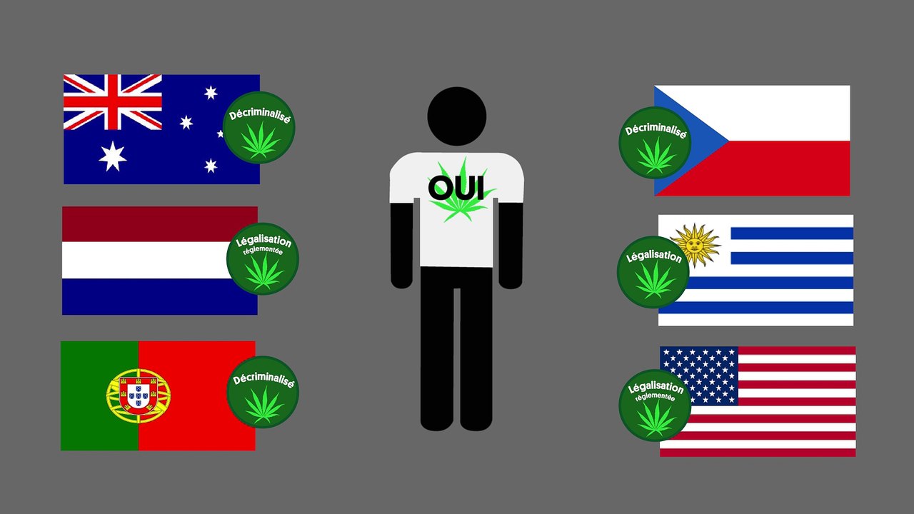 Faut-il légaliser toutes les drogues ?