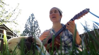 Rainbow Connection cover by Arica Dorff on the ukulele