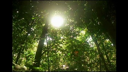 Sun: An Introduction