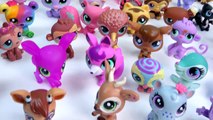 LPS Collection Tour Haul Video Bobblehead Littlest Pet Shop Wild Animals Cookieswirlc Part