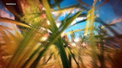 Just Cause 3 - Funny Moments - My True Love