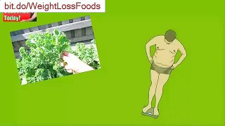 Benefits of Kale for Weight Loss Health Benefits of Kale and Weight Loss