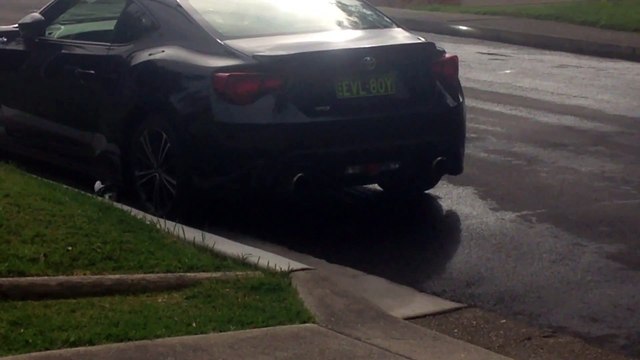 Cet oiseau déteste cette voiture et la raye avec son bec ! Sale Pie !