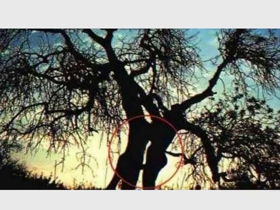 Plants that go bad - hilarious video of nature