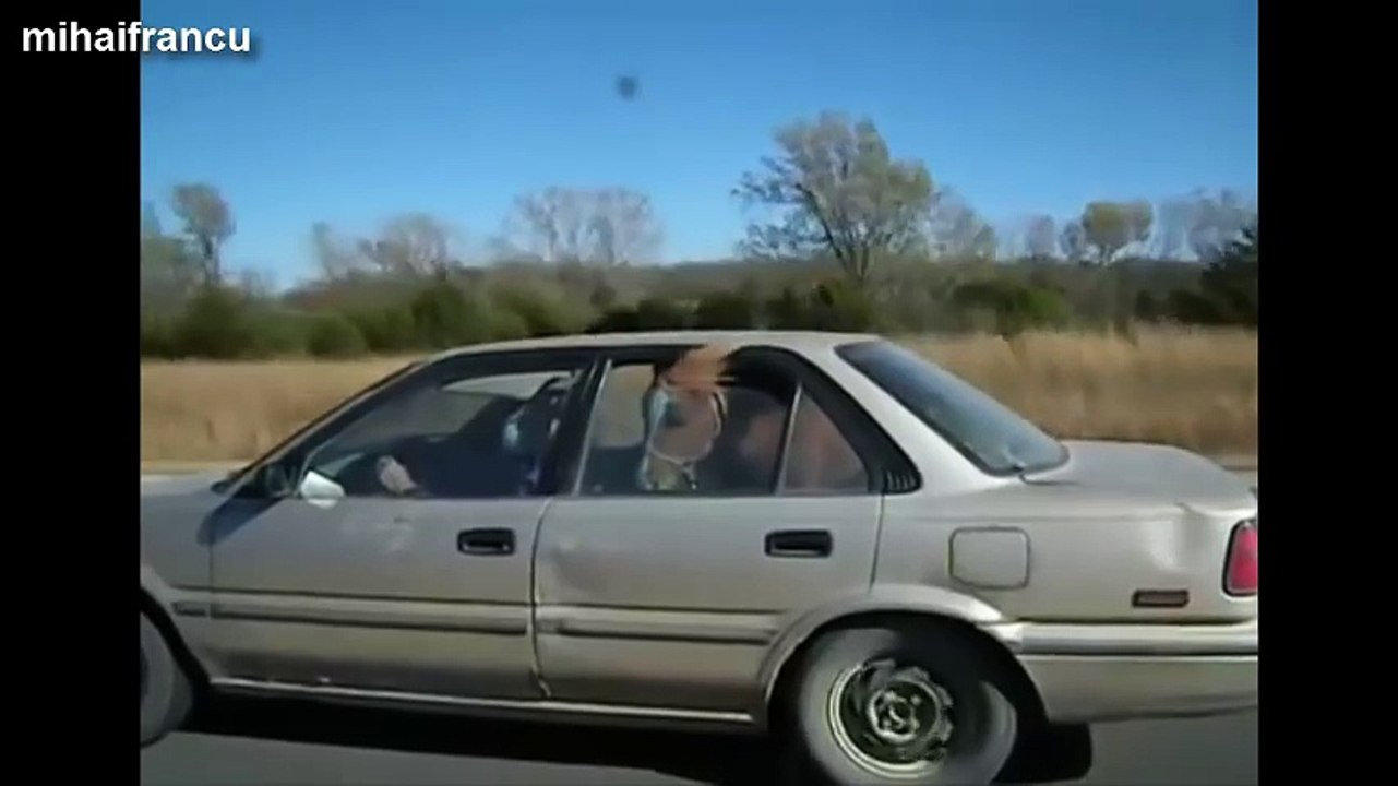 Top 10 Funny Horse Videos Compilation 2014 [NEW]