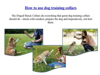 How to use dog training collars