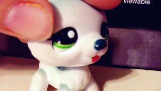 LPS- Crush Gone Wrong -