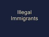 Illegal Immigrants