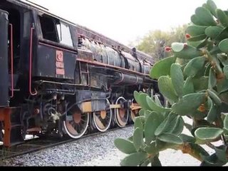 Selçuk Tren Müzesi (Turkey Çamlık Railway Museum)