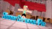 Minecraft Mod Showcase- Custom Trading Villagers MOD