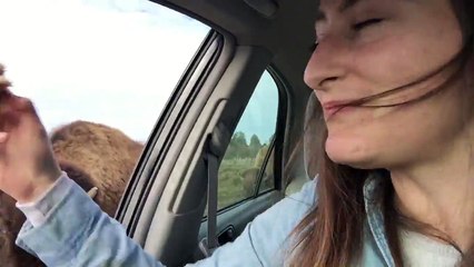 Avez-vous déjà vu Un bisou qui veut rouler une pelle ?