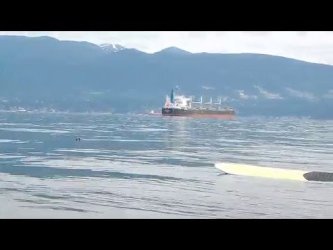 Stand-Up Paddlers Get View of a Lifetime From Breaching Humpback Whale