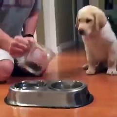 La preghiera prima di pranzare....!!