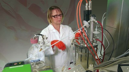 MOOC Agroressources et agro-industries durables