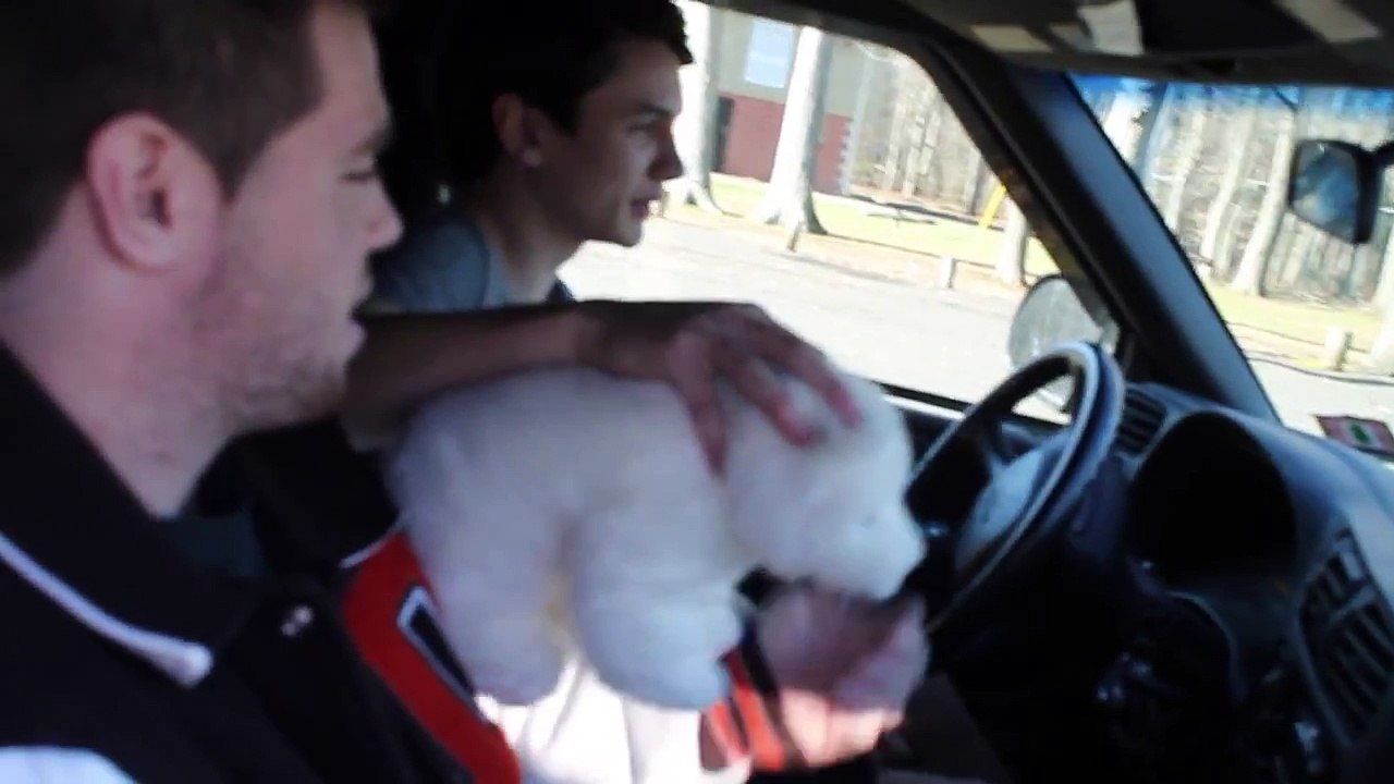 Michael Geller drivers ed. project period2