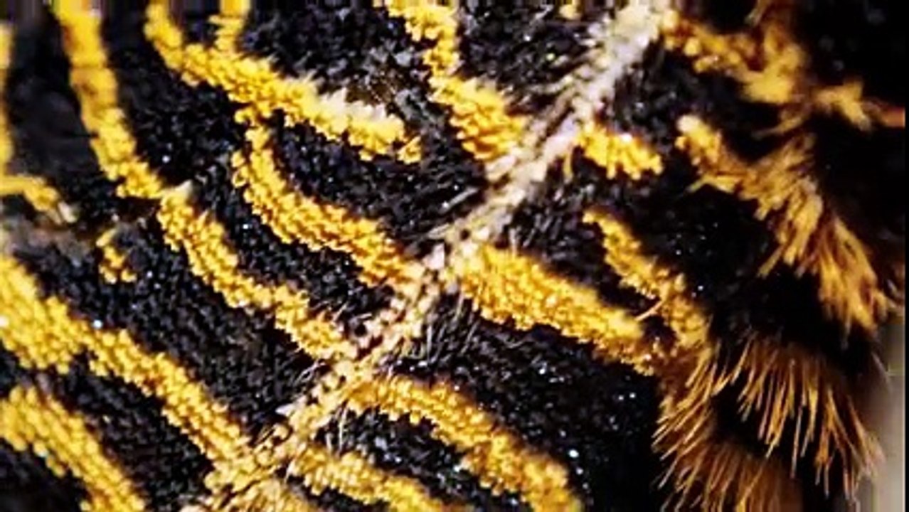 Love Again (feat. Gangsta Boo) - Run The Jewels