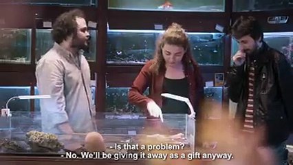 Uluslararası Af Örgütü Türkiye Şubesi