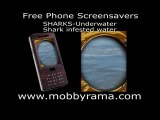 Shark infested waters - 220 x 176 Free mobile phone screensa