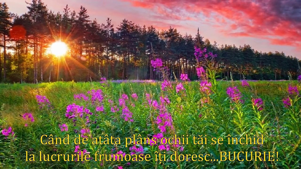 LA MULȚI ANI DE ZIUA TA!